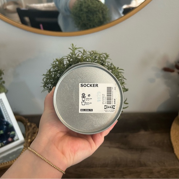 Artificial potted plant, Rosemary, 3 ½ - Picture 3 of 3